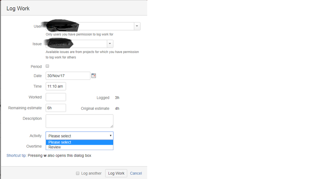 Log Work.png