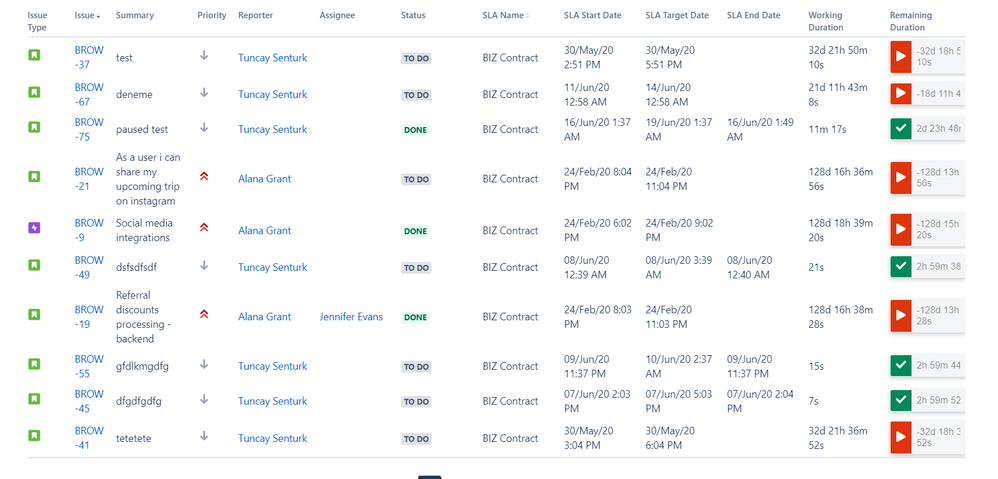 Brow detailed report.png