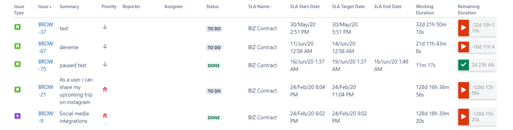 Brow detailed report.png