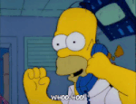 homer.gif