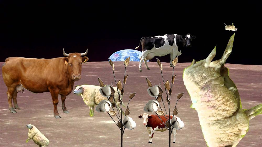 Space cows confirmed.jpg