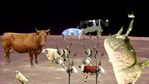 Space cows confirmed.jpg