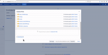 FromWithinServicedeskProject.gif