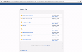 FromTheCustomerPortal.gif