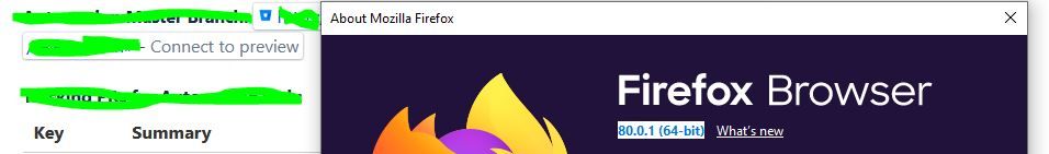 Firefox_sameIssue.JPG