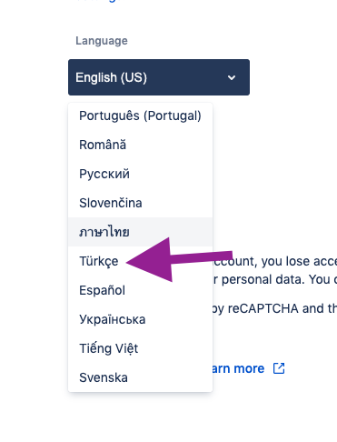 Screen Shot 2020-09-04 at 12.44.46.png