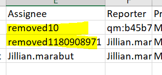CSV_Assignee.PNG