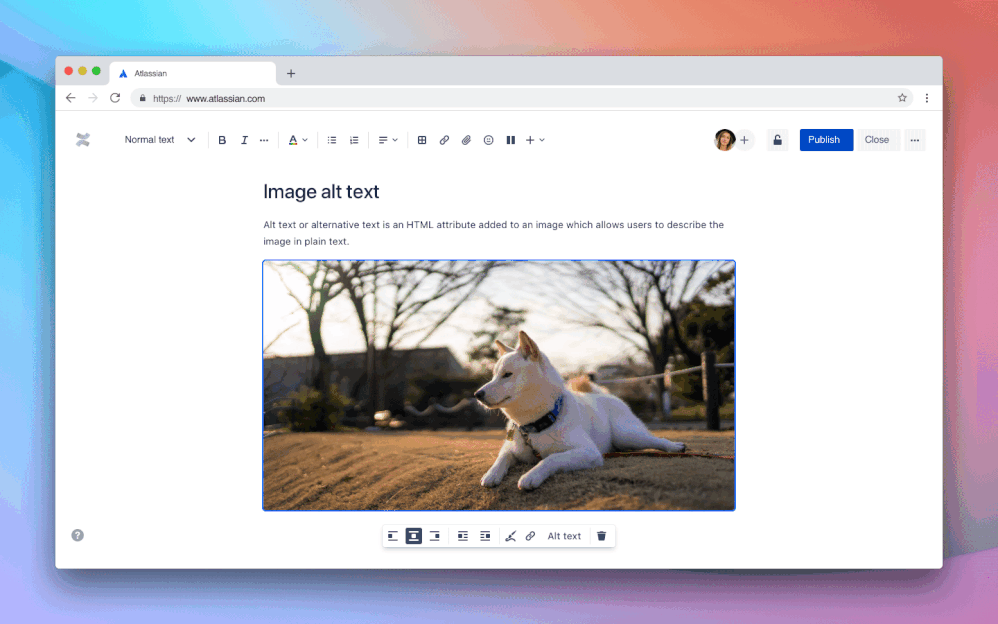 0205e77f-aafe-45a7-be95-90c6b57ae946 (1).gif
