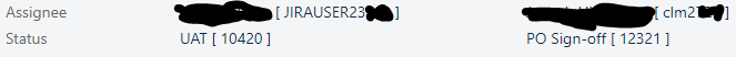 JIRAUSER.PNG