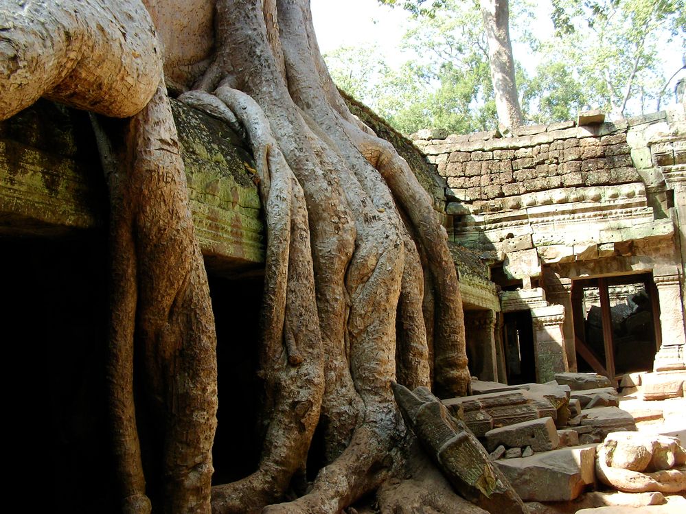 618 Ta Prohm.JPG