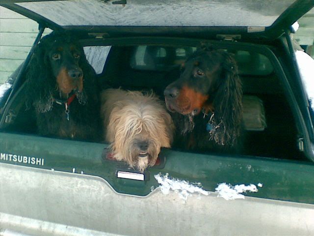 20090203-20090203-20090203-03022009(003)_20090203.jpg