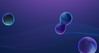 Team21-CFS-email-hero.png