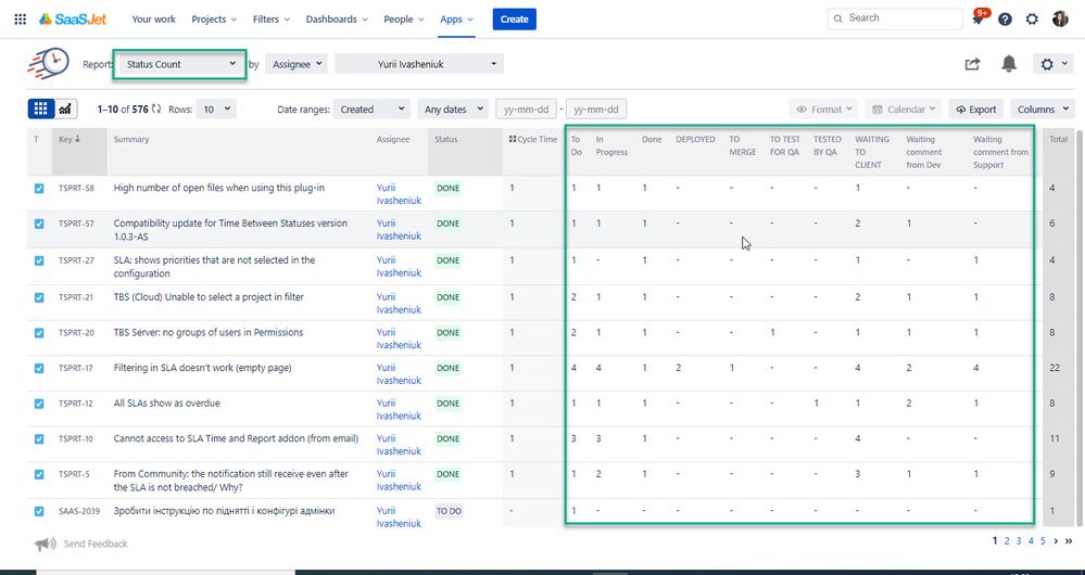 status count report.jpg