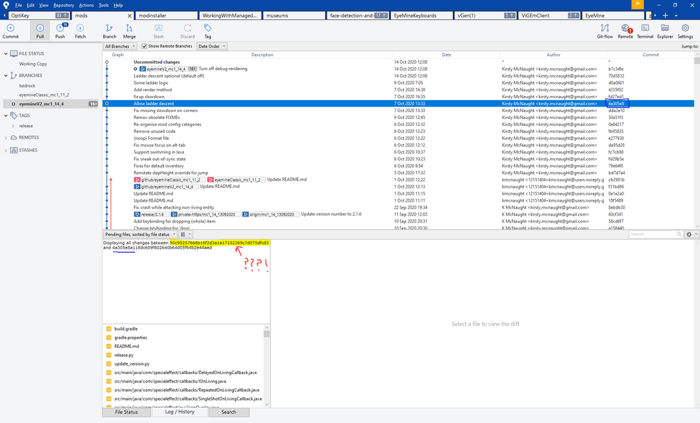 SourceTreeBorked.PNG