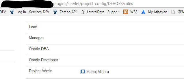 ProjectRole.JPG