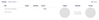 Screen Shot 2017-12-21 at 10.31.26 AM.png