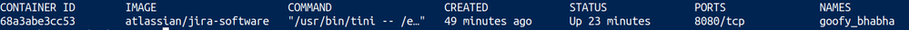 docker_ps.png