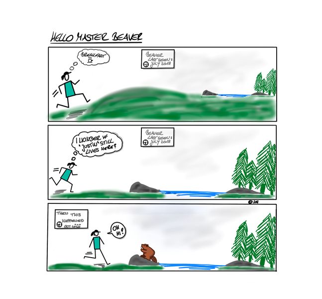 Beaver-Sketch.JPG