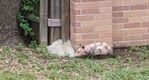 IMG_20200628_100026.jpg