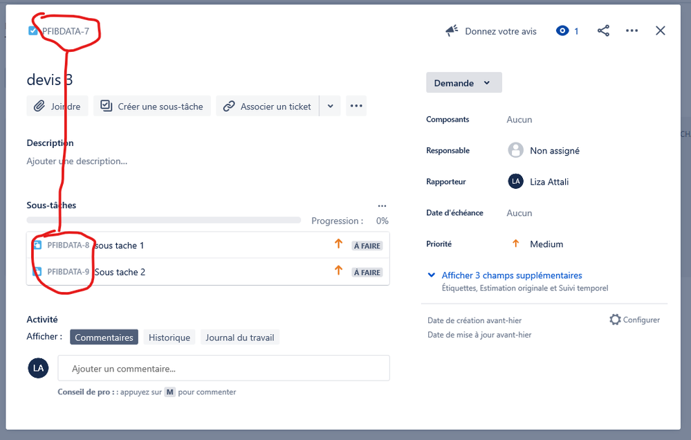 Capture Ticket Jira.png