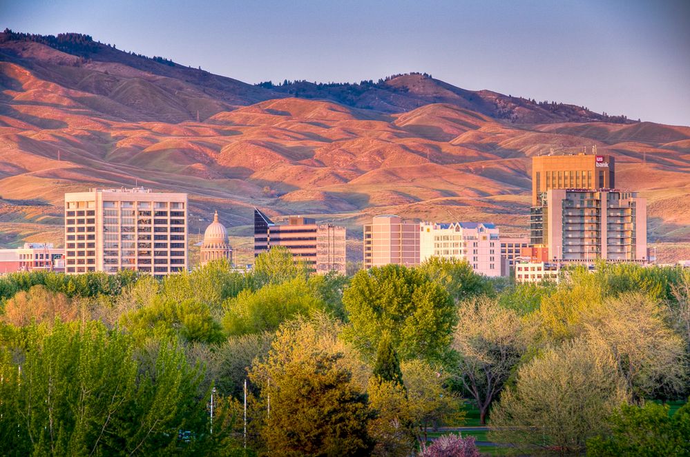 8A50969AB8BA16B524614C251FDE0236