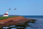 prince-edward-island-54990_640.jpg