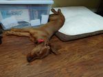 20201123_121935.jpg