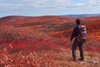 new-york-4280413_640.jpg