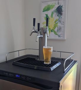 beerfridge (2).jpg