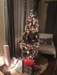 tree2.png