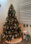 tree.jpg