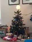 christmas tree.jpeg