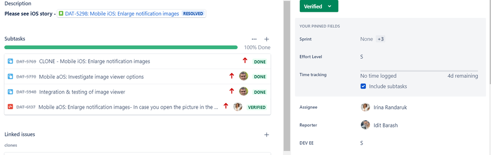 Screen Shot JIRA.PNG