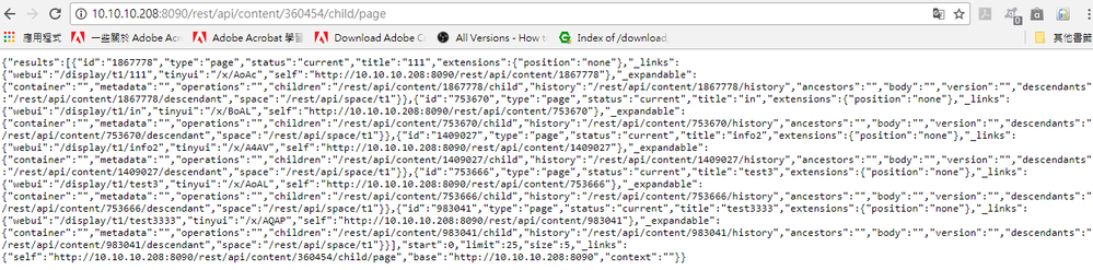 api.png