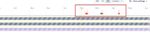 Release names on Timeline view.jpg