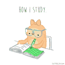 How I Study.gif