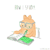 How I Study.gif