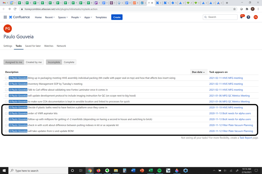 Confluence Bug.png