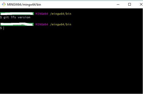 Git Bash Version.jpg
