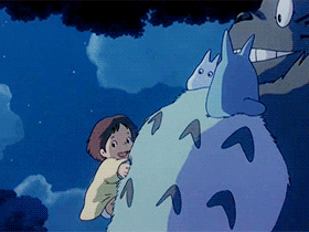 totoro-hug.gif