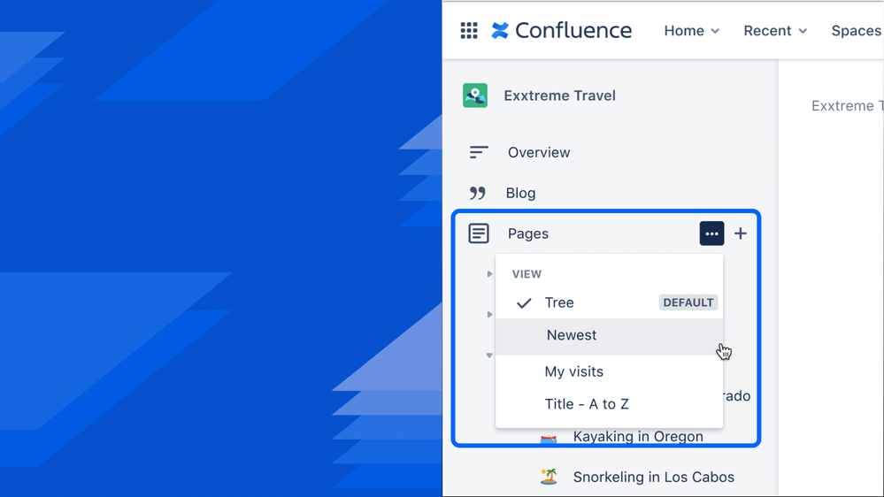 Group 11 (1) (1).png