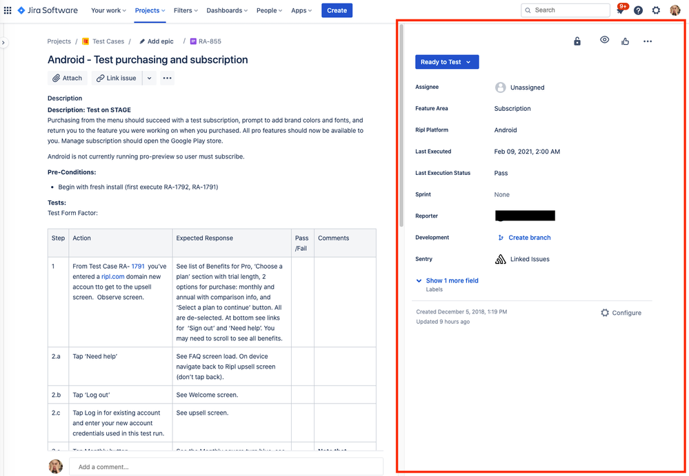 screenshot of issue details.png