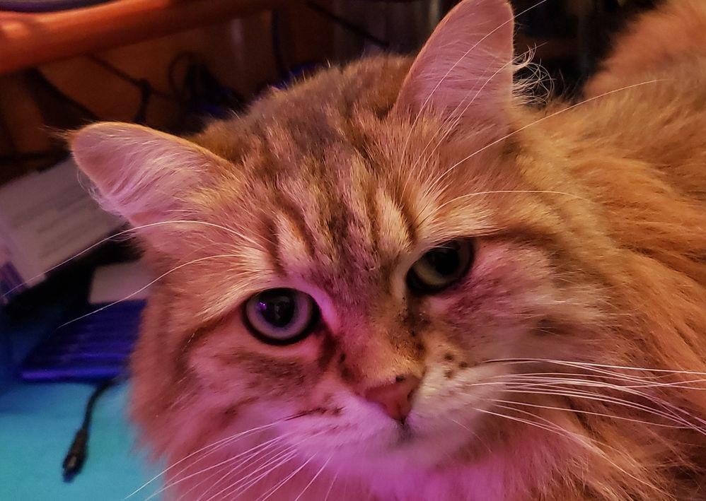 kizzy-face.jpg