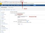 custom field for description.jpg