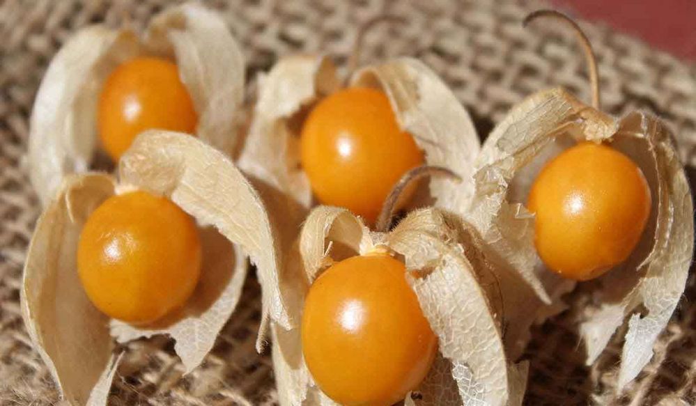 Cape-Gooseberries