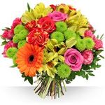 Public (Alexandre Bosserelle)