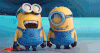 laughing minons.gif