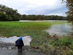 IMG_20201015_162342.jpg