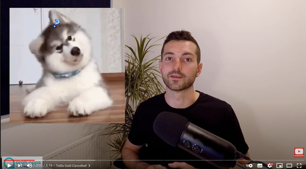 Screenshot 2021-08-26 at 17.01.11.png