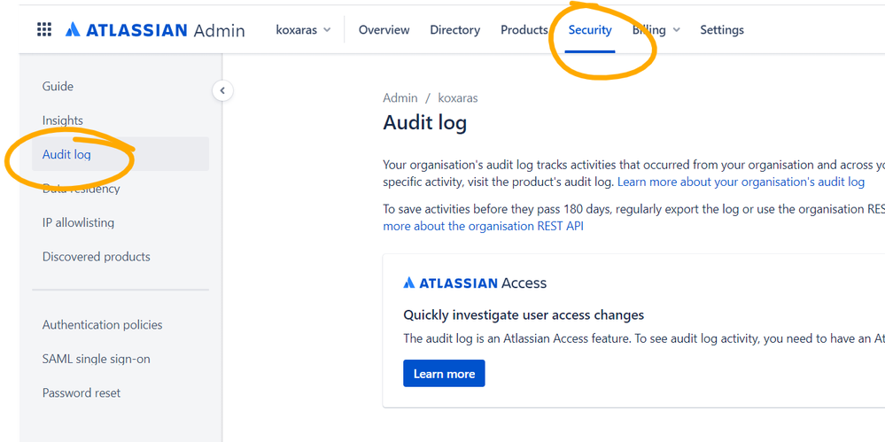 Access Audit Log.png